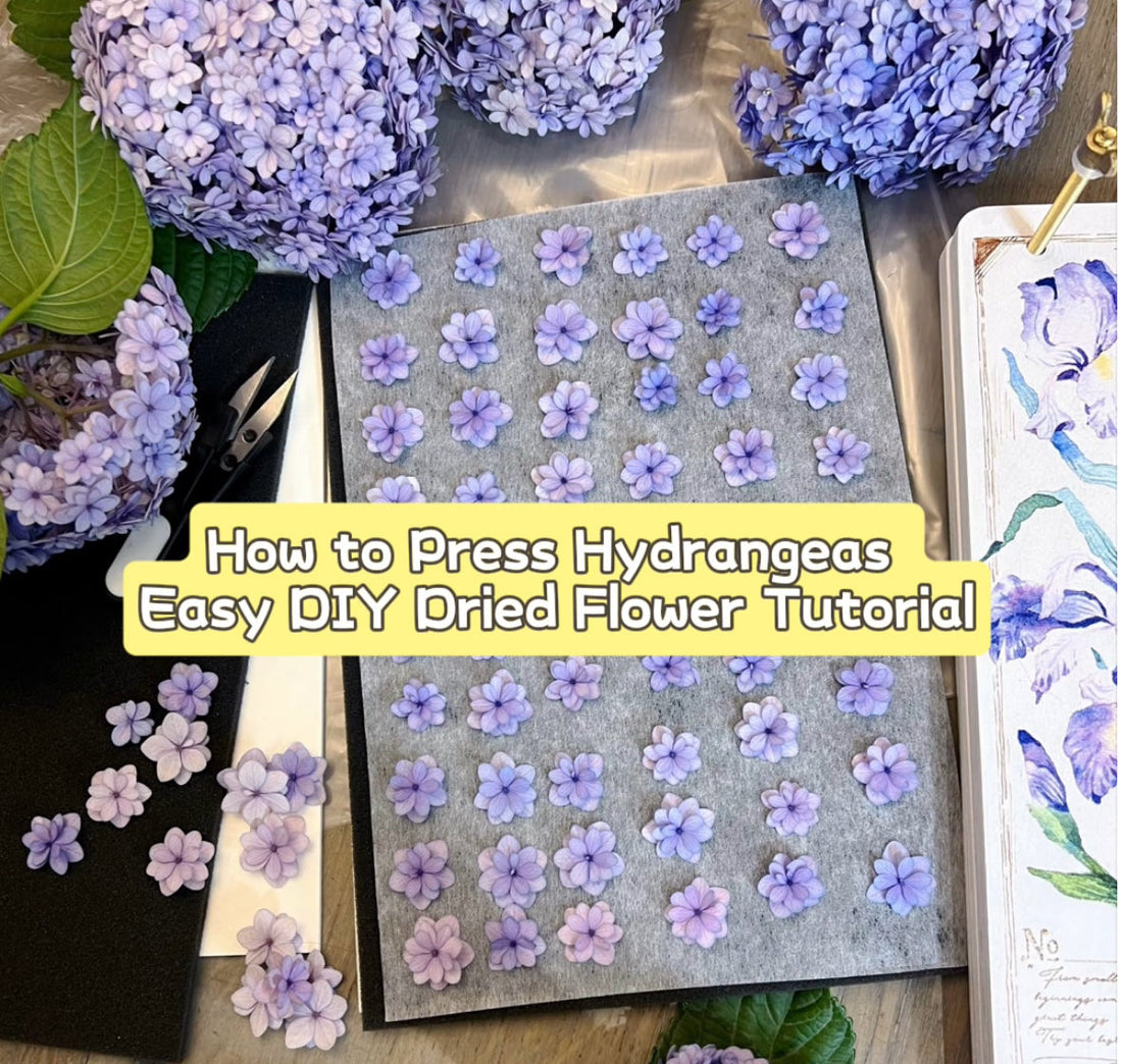 How to Press Flowers — A Beginner’s Guide to Easy DIY Dried Blooms