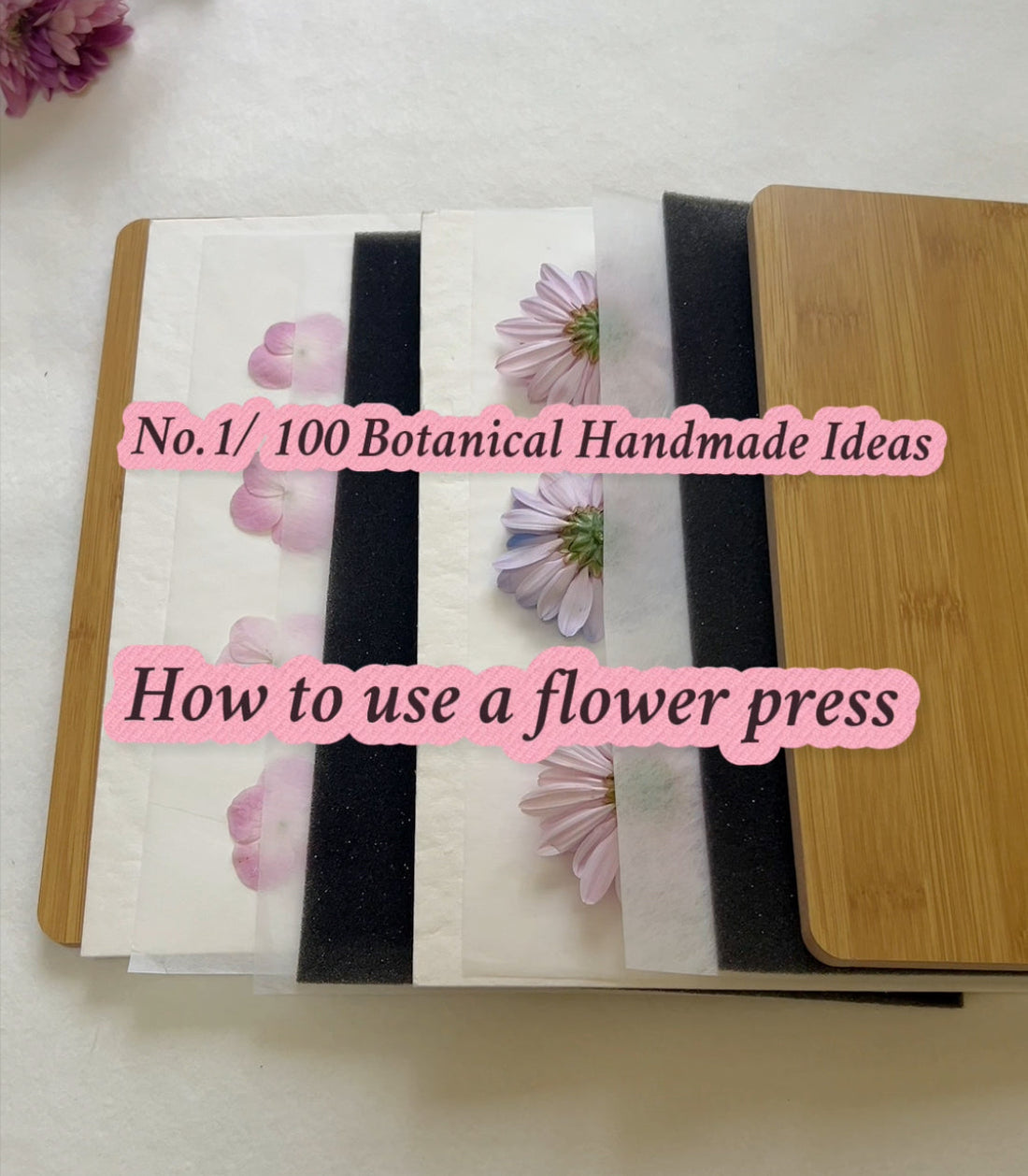 How to Use a Flower Press  (No. 1 / 100 Botanical Handmade Ideas)