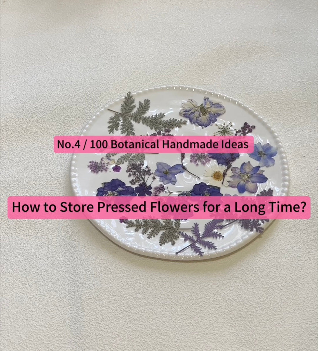 How to Store Pressed Flowers for a Long Time (No.4 / 100 Botanical Handmade Ideas)