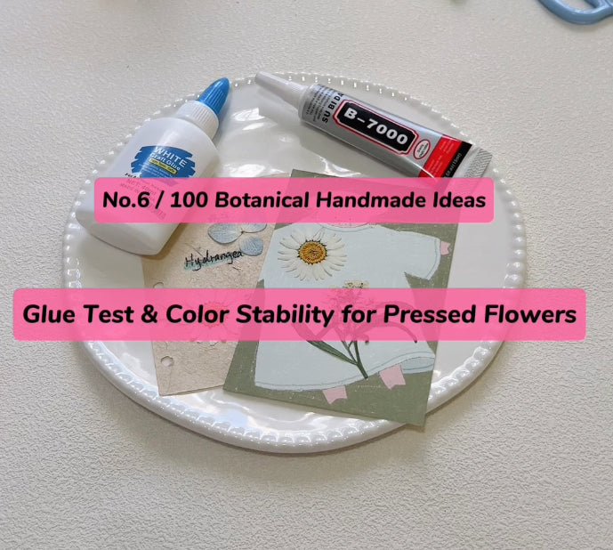 EP06• White Glue vs. B7000: Which One Keeps Pressed Flowers From Fading?