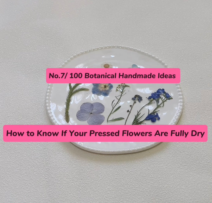 EP07 · How to Know If Your Pressed Flowers Are Fully Dry