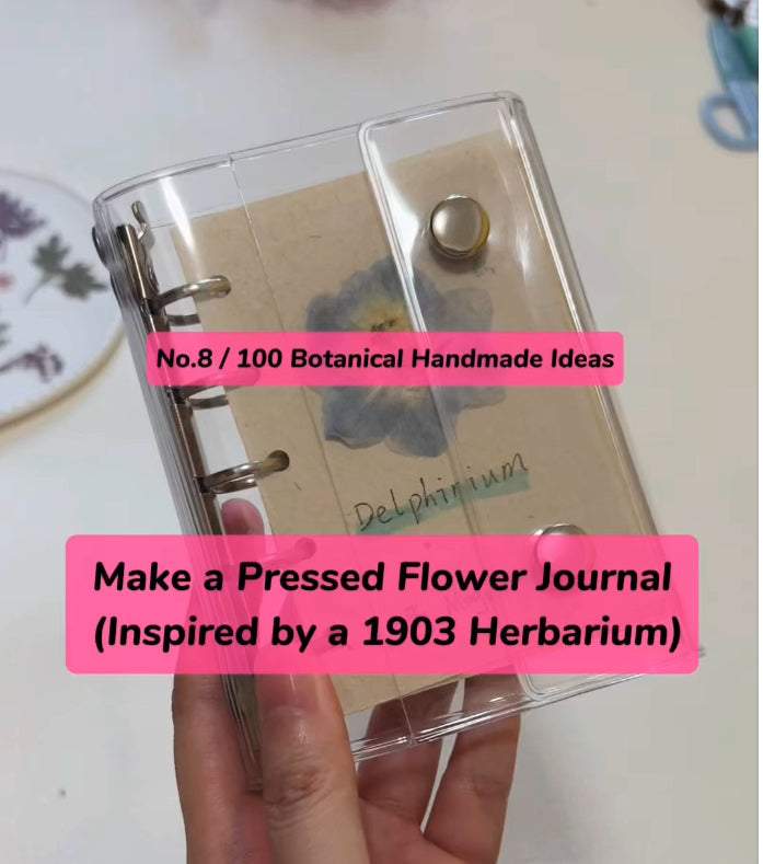 EP08 · How I Made a Pressed-Flower Journal (Inspired by a 1903 Herbarium)