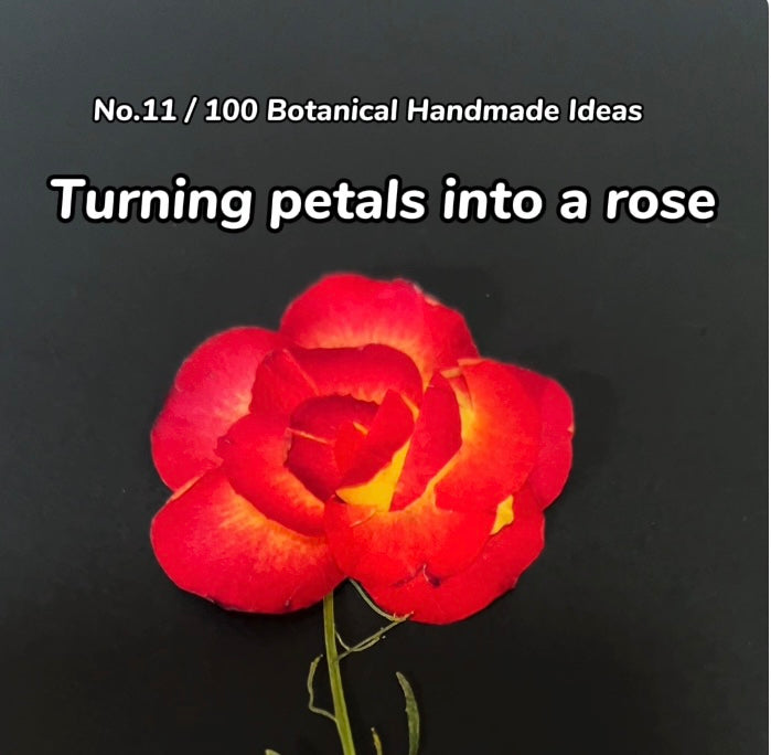 EP11 · Turning Petals into a Rose , Step-by-Step Guide