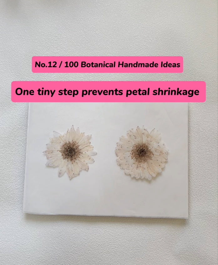EP12 · One Tiny Step to Prevent Uneven Petal Shrinkage
