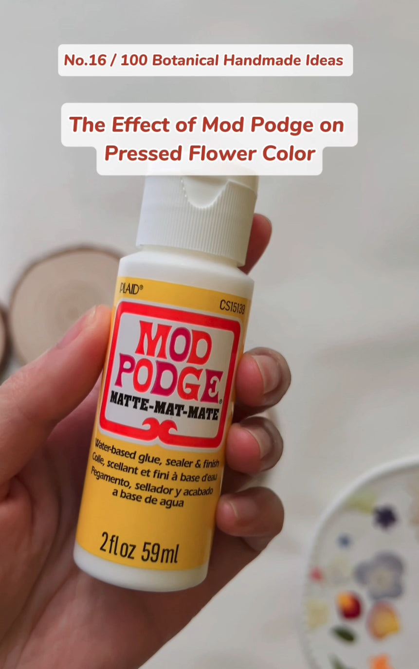 EP16 · The Effect of Mod Podge on Pressed Flower Color