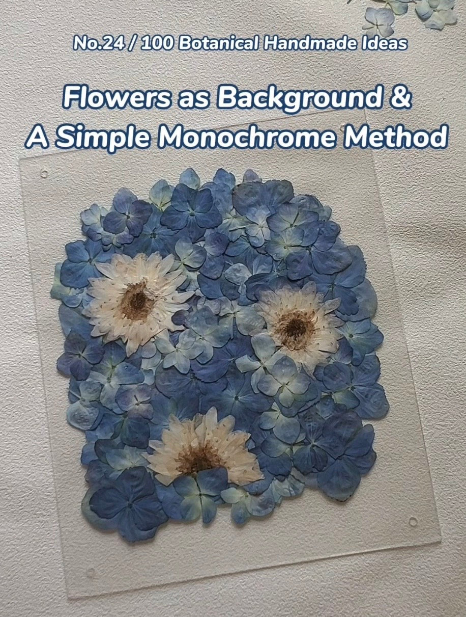 EP24 • Flowers as Background & A Simple Monochrome Structure