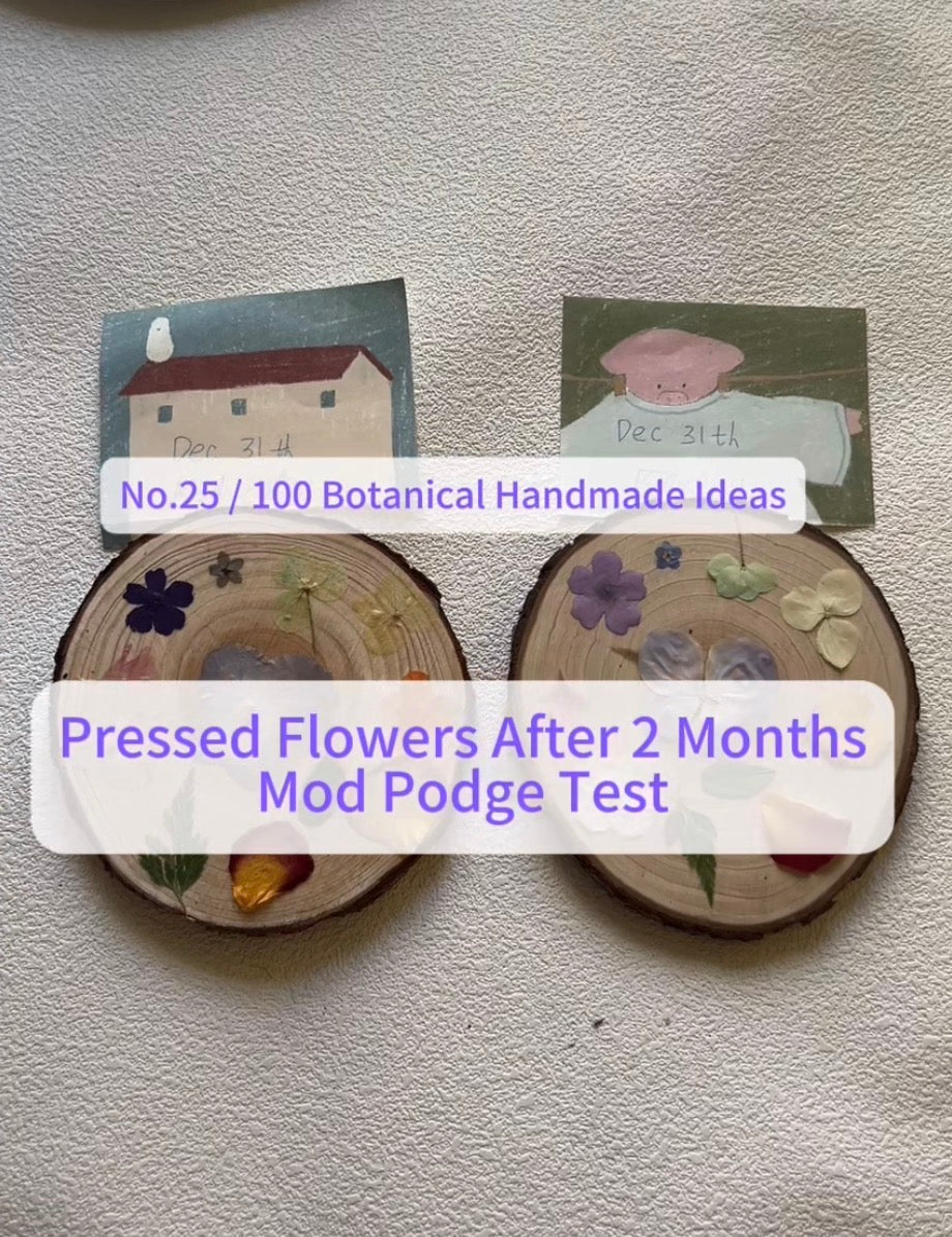 EP25• Pressed Flowers After 2 Months | Mod Podge Experiment