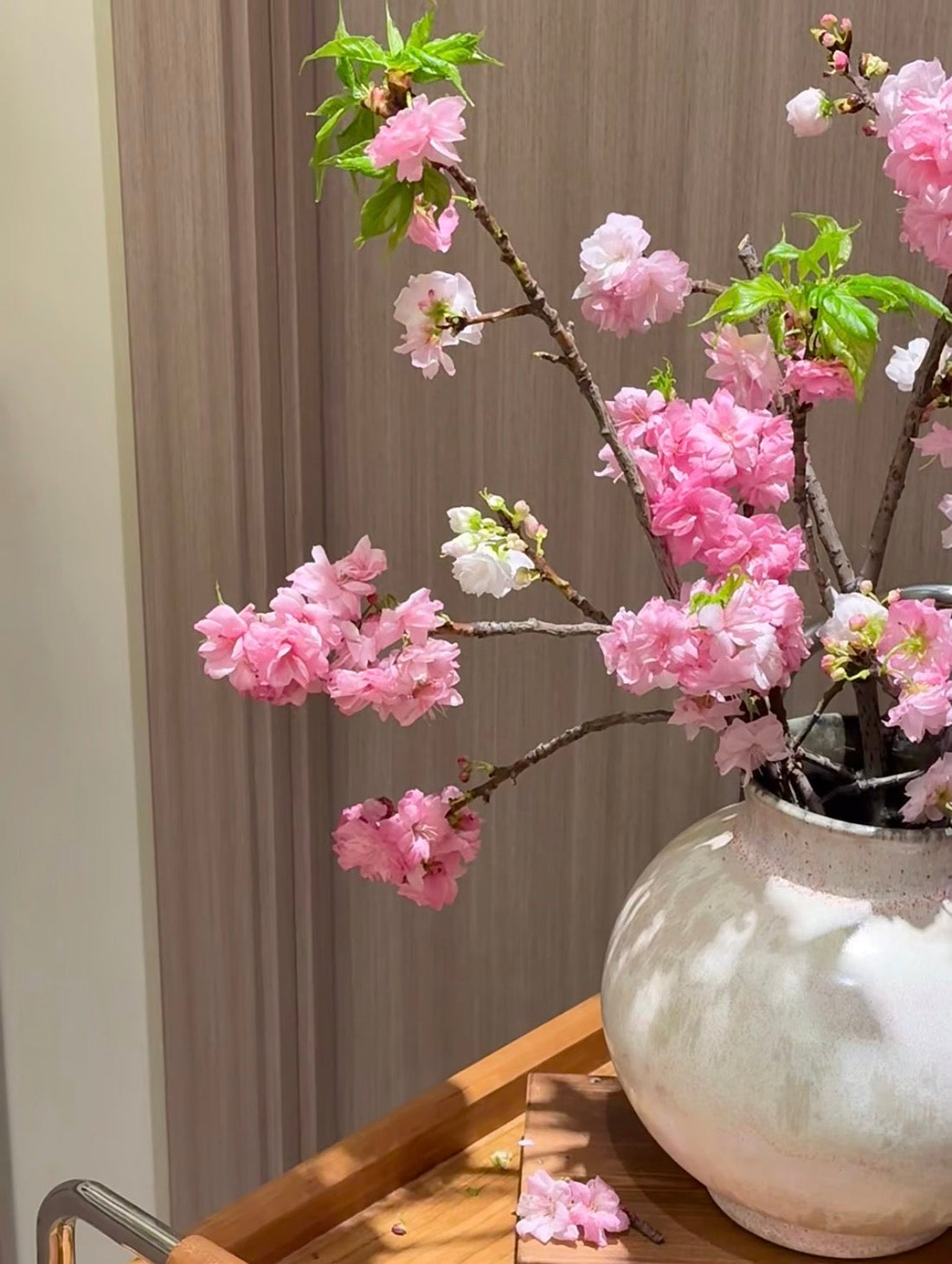 Pressed Flower Archive | Cherry Blossom