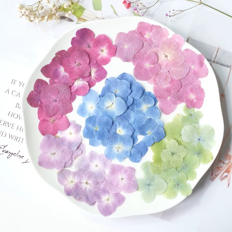 Pressed Hydrangea Flowers for Crafts – Dried Flowers for Resin, Journaling & DIY
