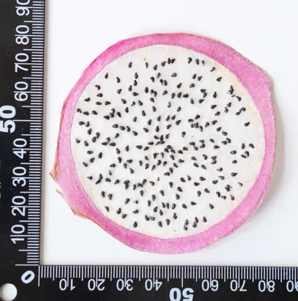 Decorative Dried Fruit Slices for Crafts – Lemon, Orange, Strawberry & More (Not Edible)