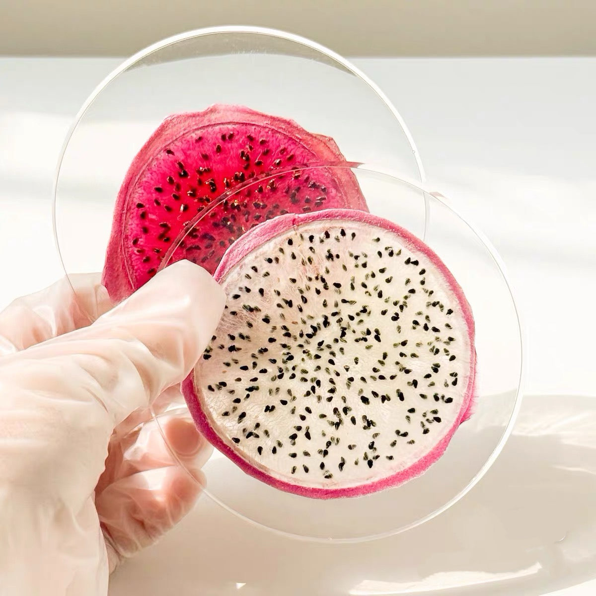 Summer on the table - Fruit Resin Coaster