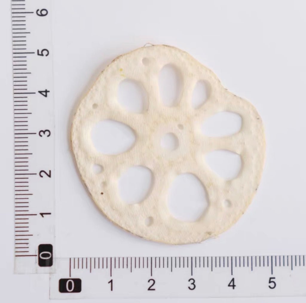 Decorative Dried Fruit Slices for Crafts – Lemon, Orange, Strawberry & More (Not Edible)