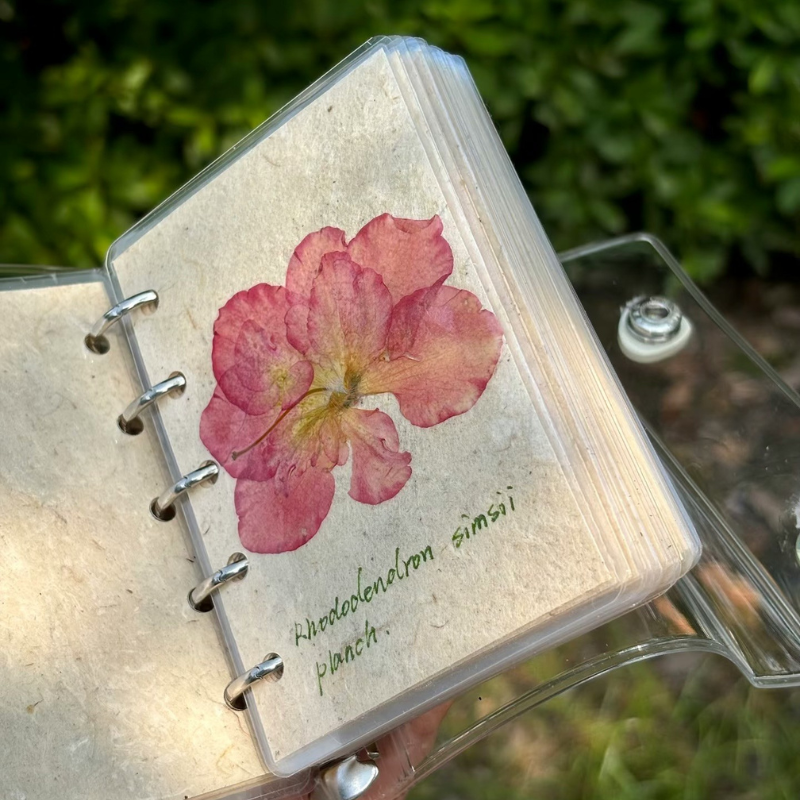 Plant Fiber Notebook – Pressed Flower Journal for Nature Lovers