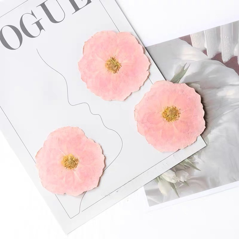 Real Pressed Rose Flowers – Colorful Dried Flower Set for DIY Crafts, Resin Art, Phone Case & Journaling