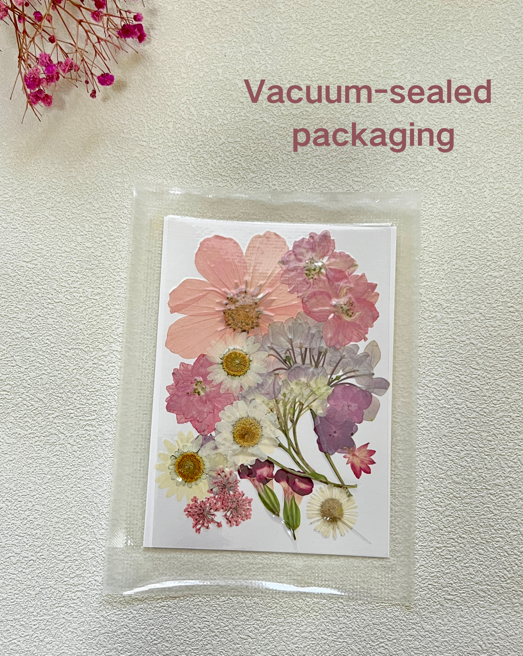 DIY Pressed Flower Set — Paint with Nature