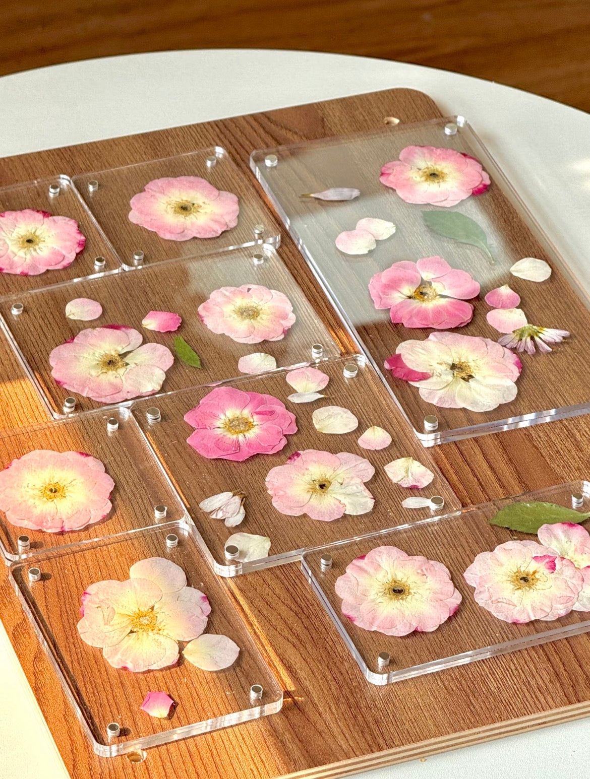 Real Pressed Rose Flowers – Colorful Dried Flower Set for DIY Crafts, Resin Art, Phone Case & Journaling