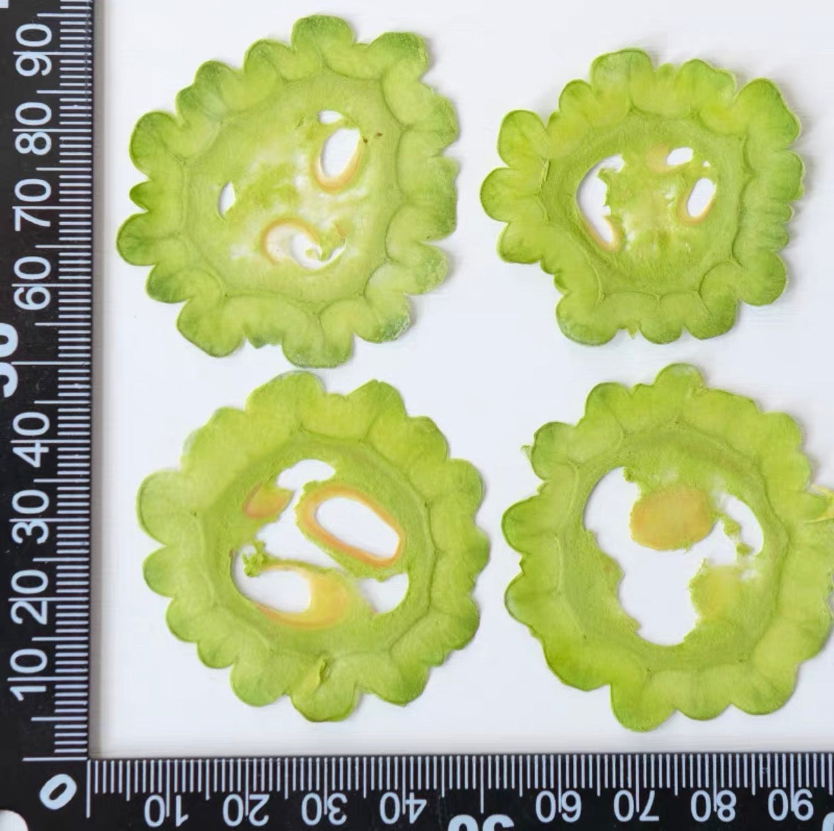 Decorative Dried Fruit Slices for Crafts – Lemon, Orange, Strawberry & More (Not Edible)