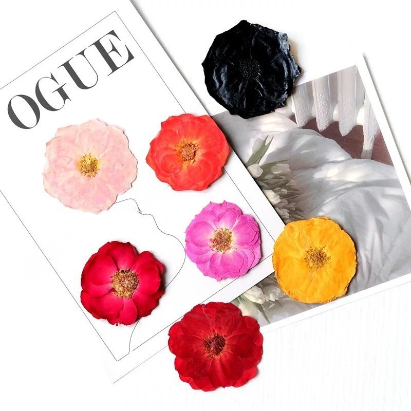 Real Pressed Rose Flowers – Colorful Dried Flower Set for DIY Crafts, Resin Art, Phone Case & Journaling