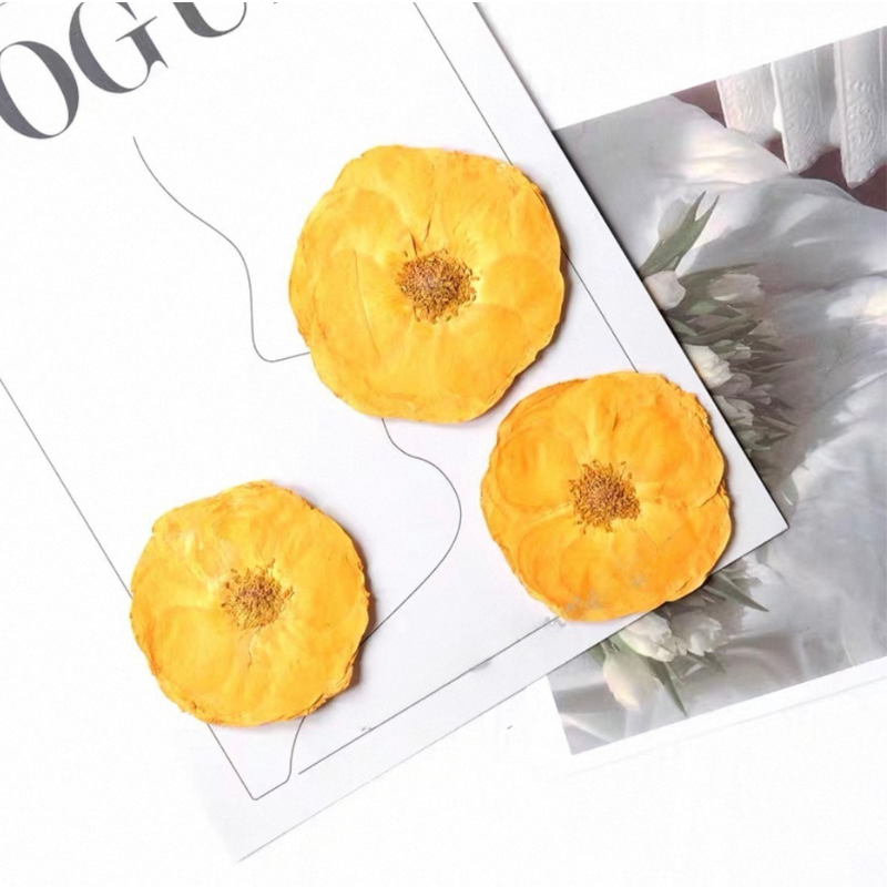 Real Pressed Rose Flowers – Colorful Dried Flower Set for DIY Crafts, Resin Art, Phone Case & Journaling