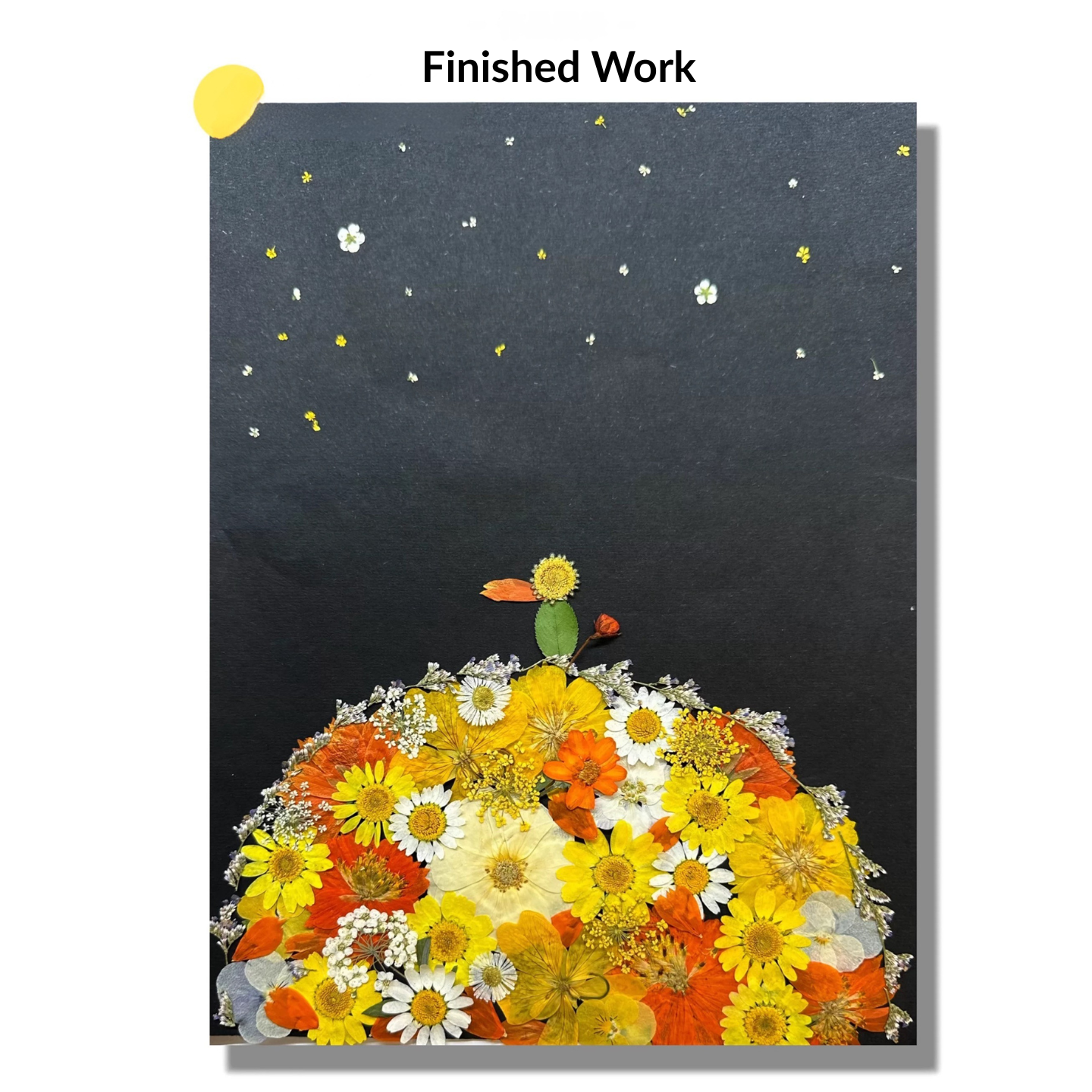 DIY Sunset Garden Palette Pressed Flower Kit