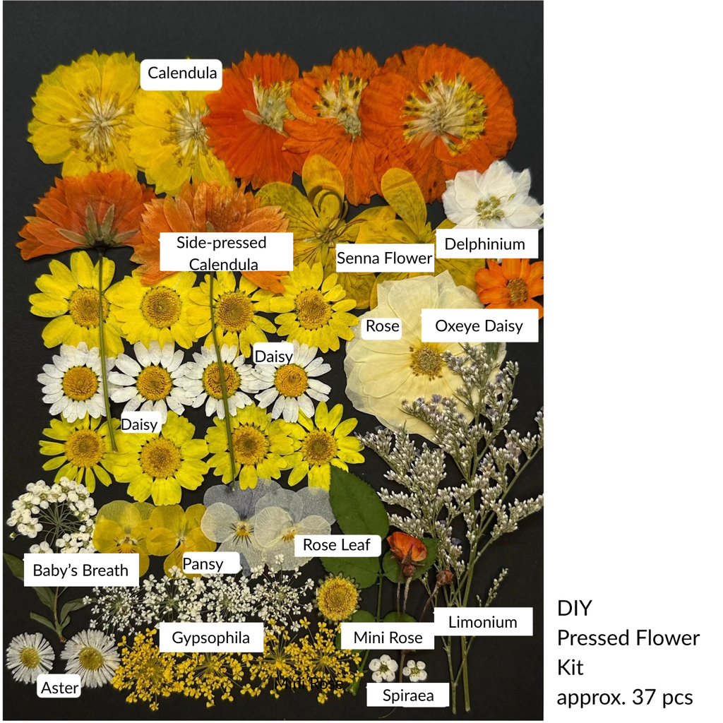 DIY Sunset Garden Palette Pressed Flower Kit