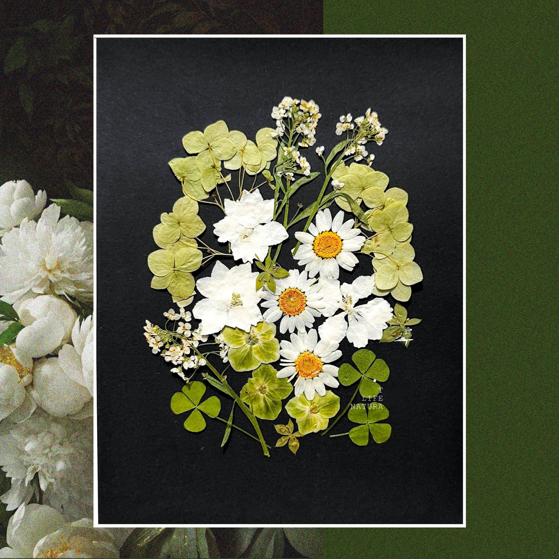 DIY Pressed Flower Set — Paint with Nature