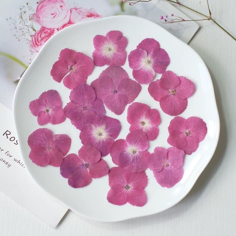 Pressed Hydrangea Flowers for Crafts – Dried Flowers for Resin, Journaling & DIY