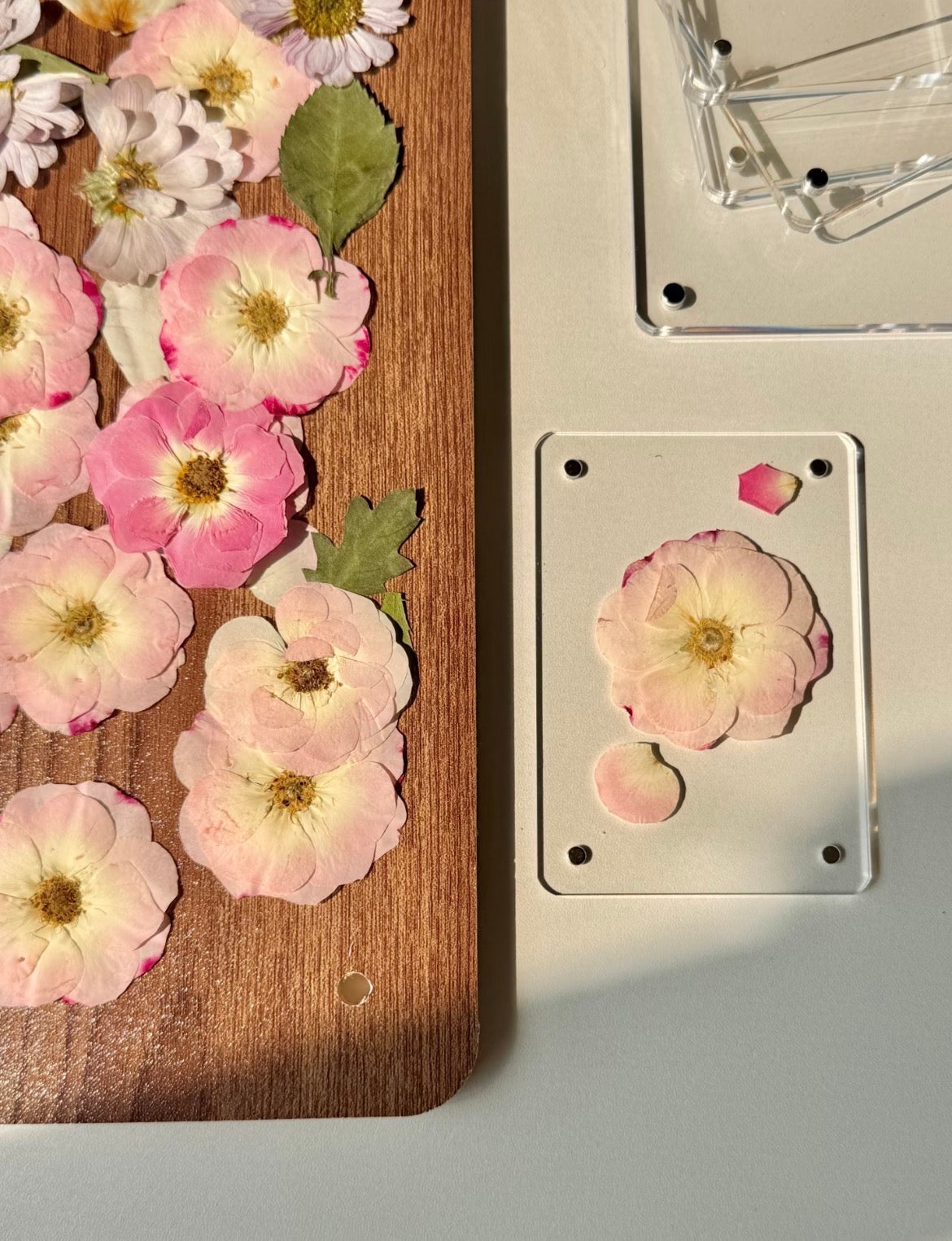 Real Pressed Rose Flowers – Colorful Dried Flower Set for DIY Crafts, Resin Art, Phone Case & Journaling