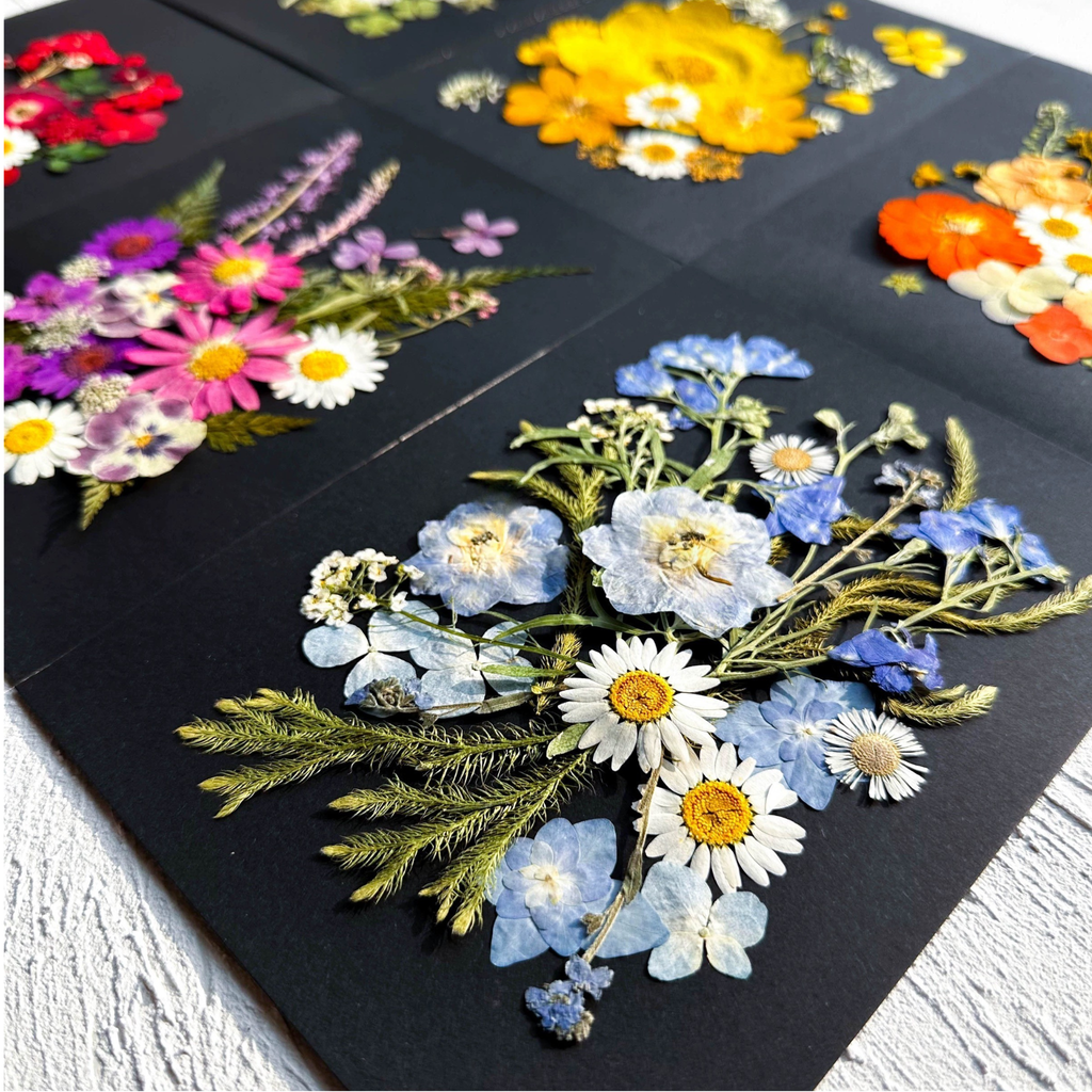 DIY Pressed Flower Set — Paint with Nature
