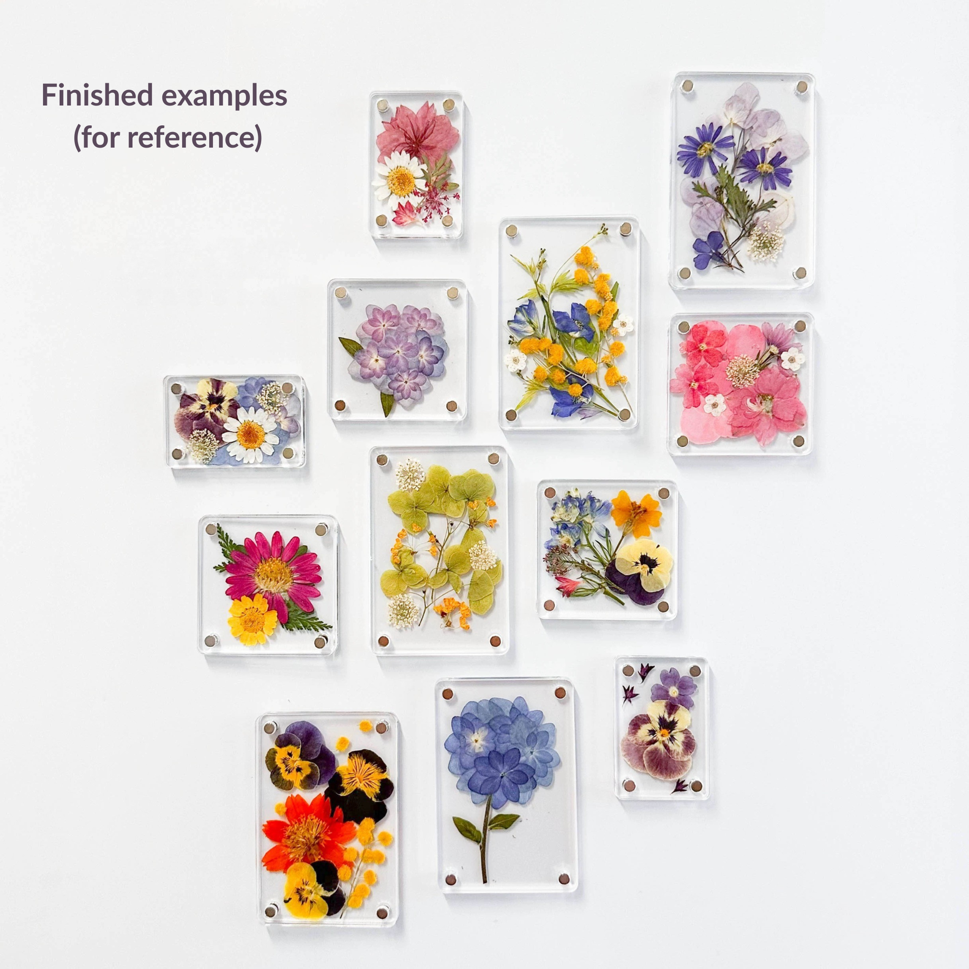DIY Botanical Magnet Kit — Pressed Flower Craft Set
