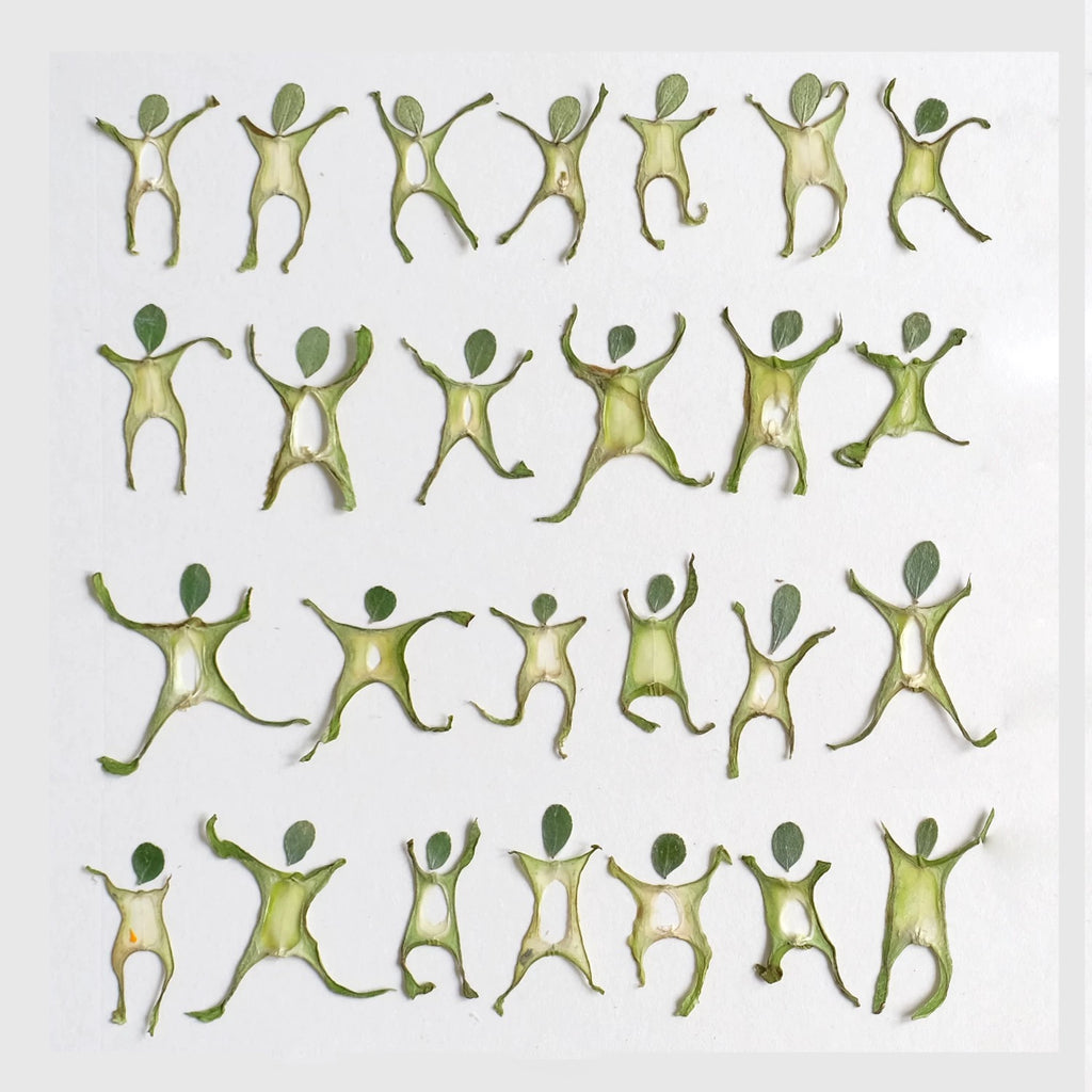 Little People Flower Art Kit – DIY Leaf Craft Playful Pressed Flower DIY, Creative Nature Craft for Journaling & Gifts