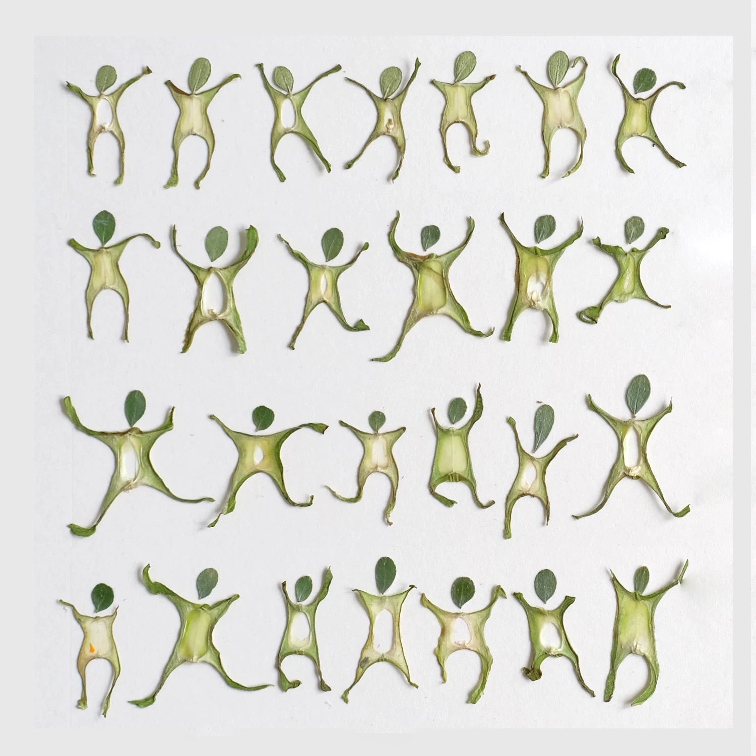 Little People Flower Art Kit – DIY Leaf Craft Playful Pressed Flower DIY, Creative Nature Craft for Journaling & Gifts