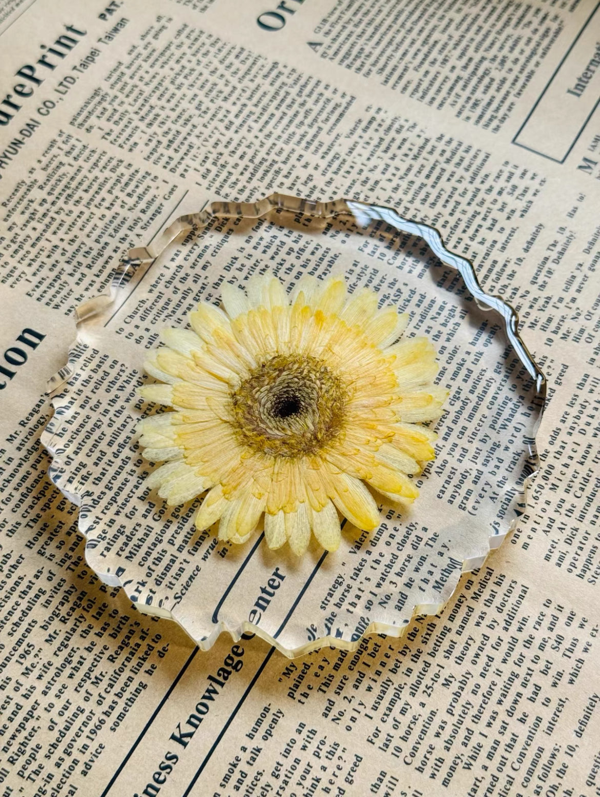 Sunlit Bloom —Yellow Gerbera Resin Coaster with Wooden Stand