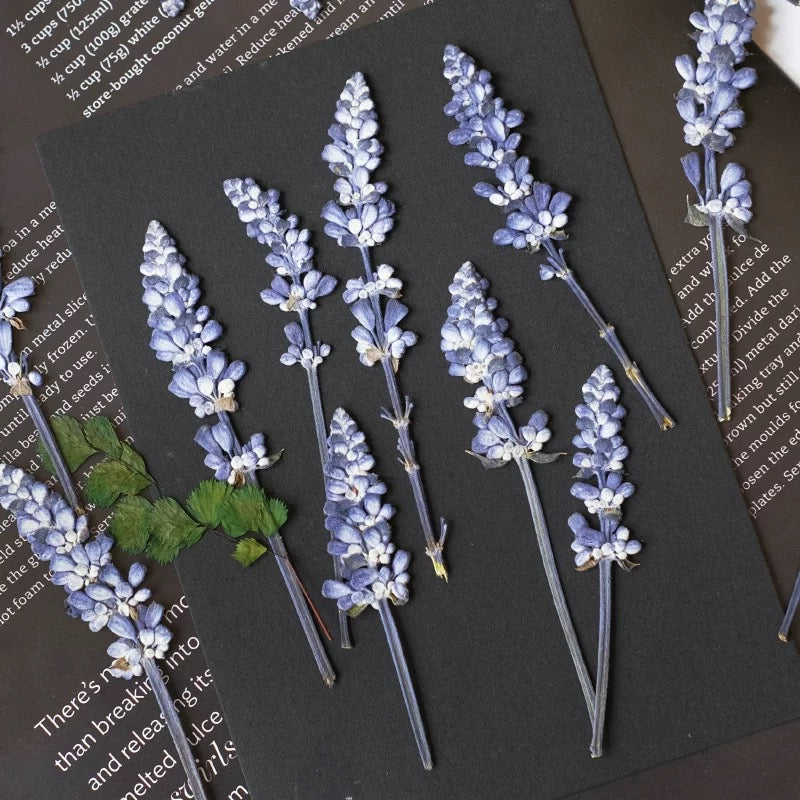 Pressed Lavender Flowers for Crafts – Dried Lavender for Resin & DIY