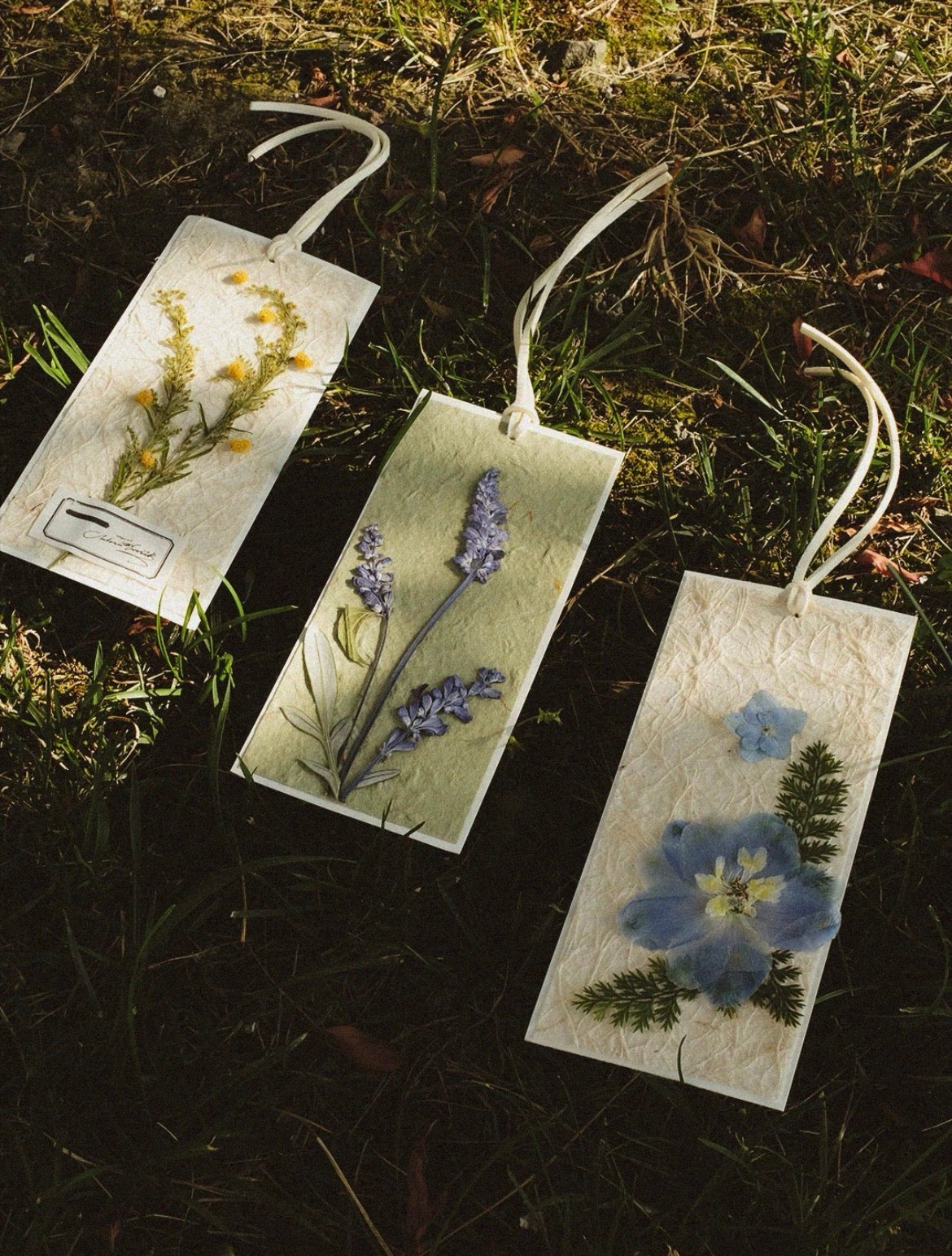Pressed Lavender Flowers for Crafts – Dried Lavender for Resin & DIY
