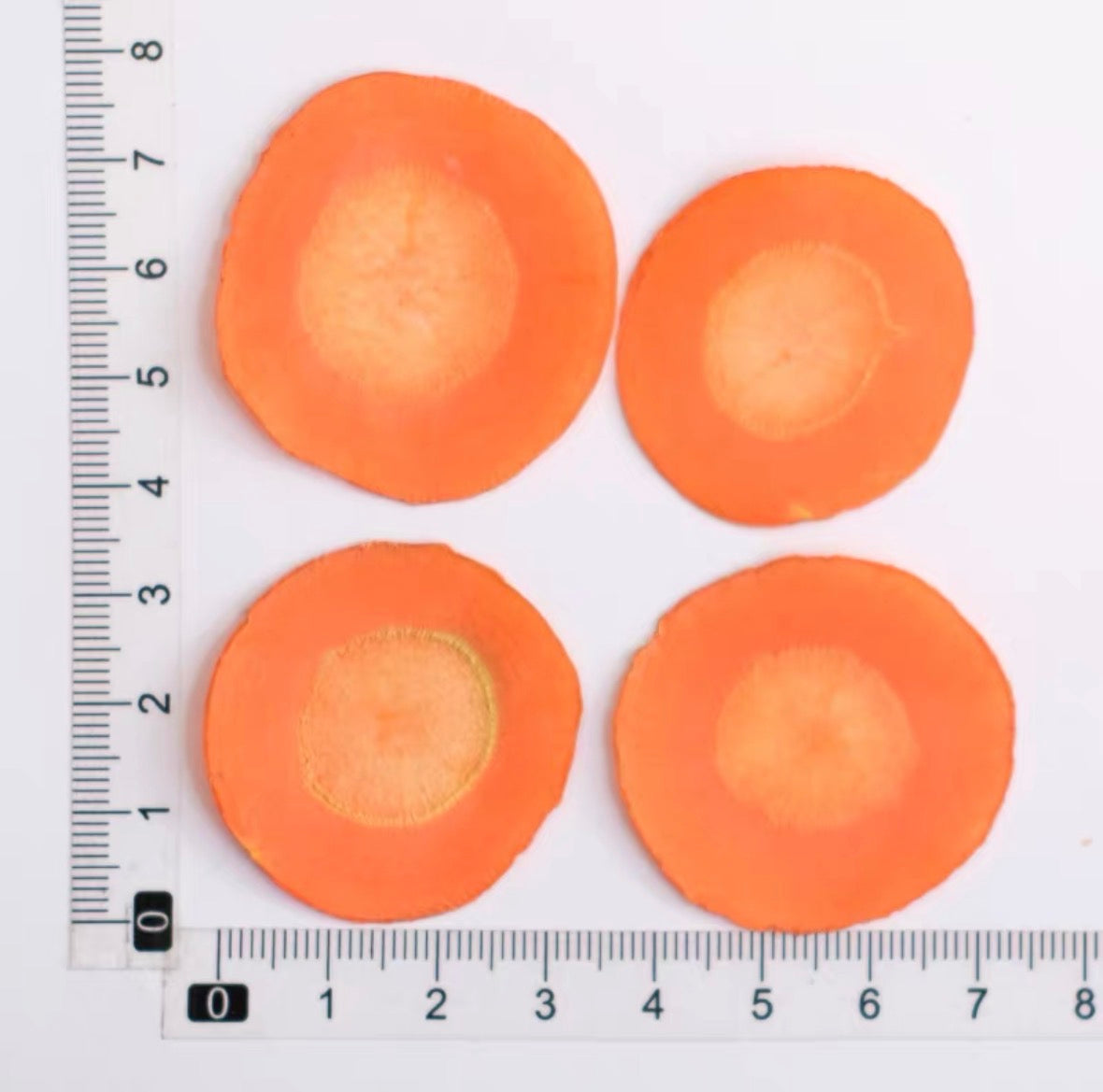 Decorative Dried Fruit Slices for Crafts – Lemon, Orange, Strawberry & More (Not Edible)