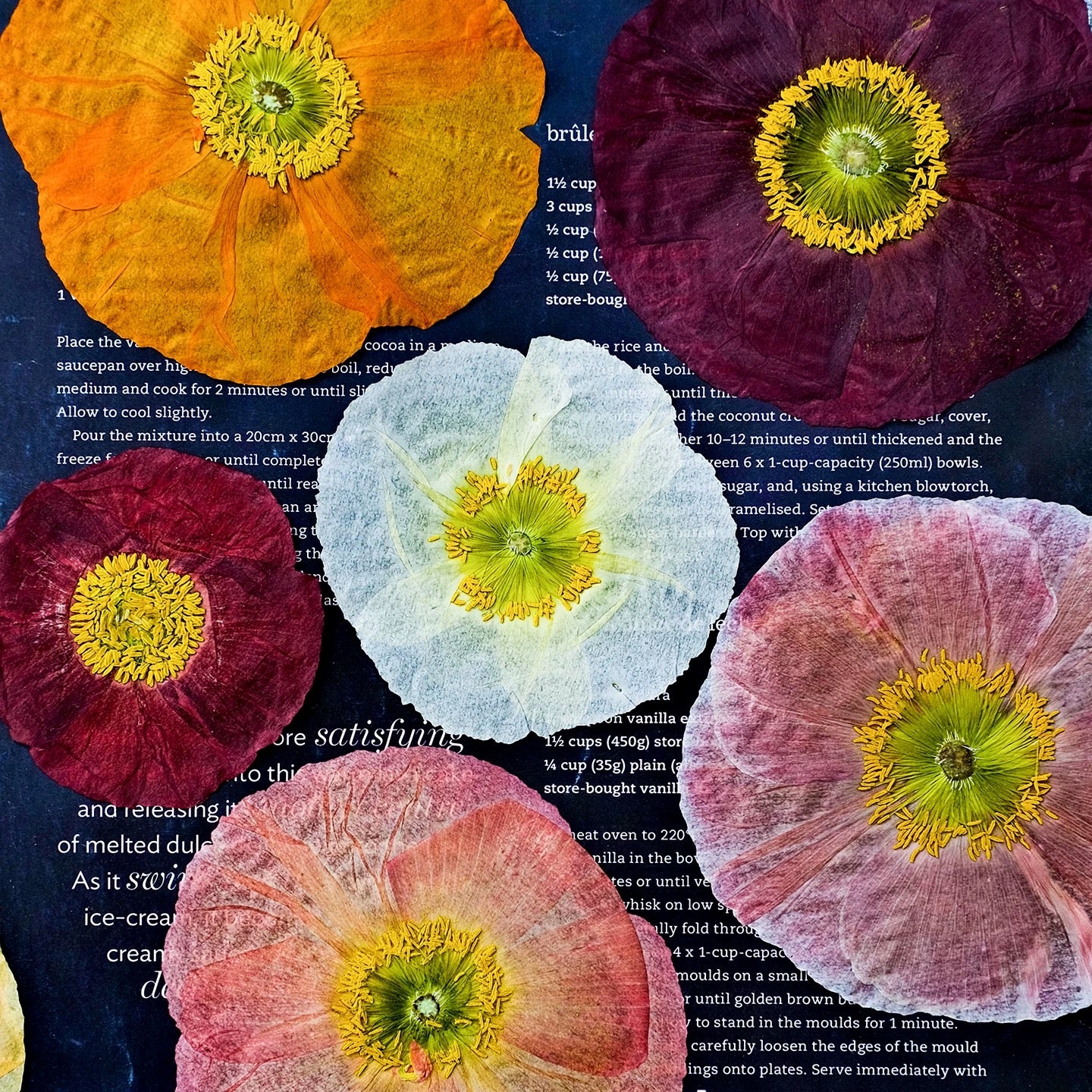 Pressed Corn Poppy (Papaver rhoeas) Flowers | Natural Dried Flower Petals for Botanical Art & DIY Crafts