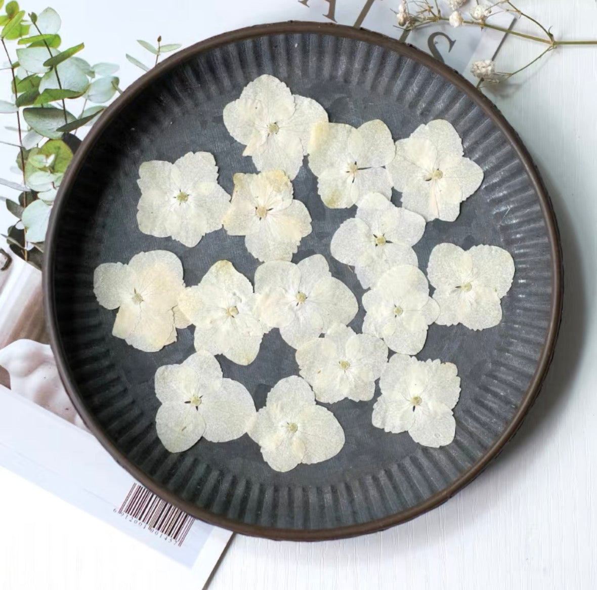 Pressed Hydrangea Flowers for Crafts – Dried Flowers for Resin, Journaling & DIY