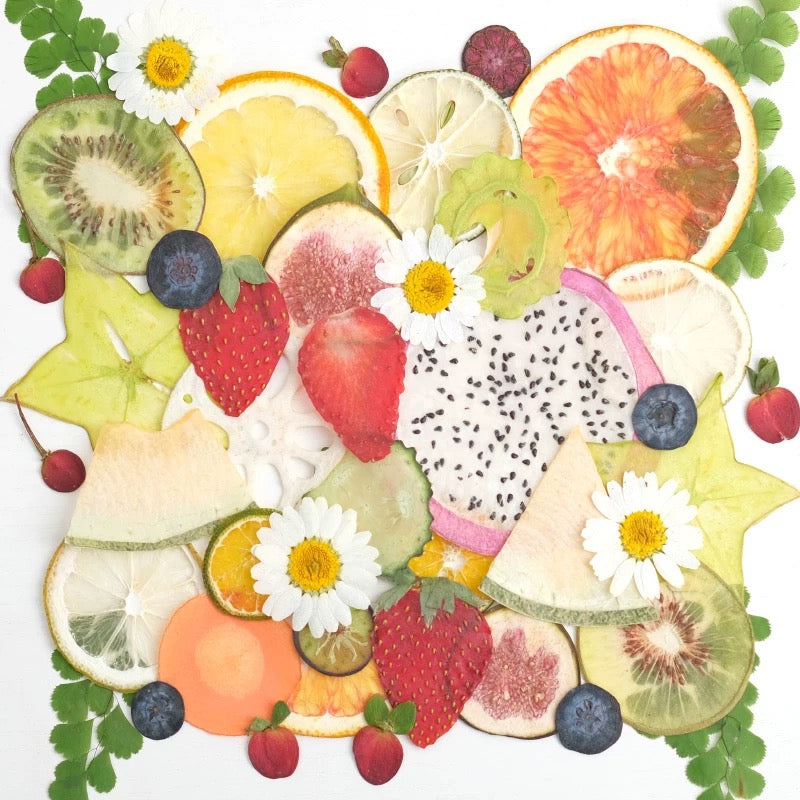 Decorative Dried Fruit Slices for Crafts – Lemon, Orange, Strawberry & More (Not Edible)