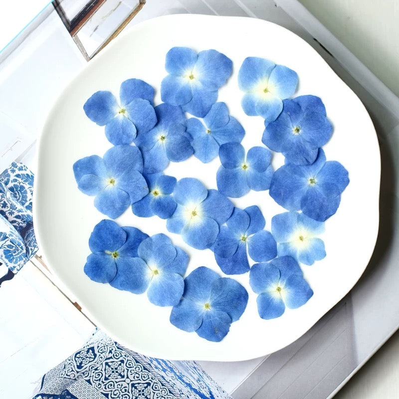 Pressed Hydrangea Flowers for Crafts – Dried Flowers for Resin, Journaling & DIY