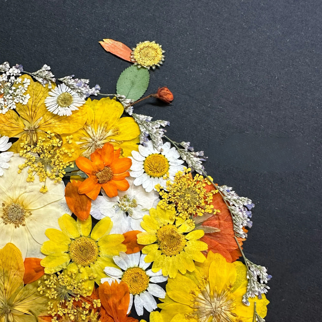 DIY Sunset Garden Palette Pressed Flower Kit