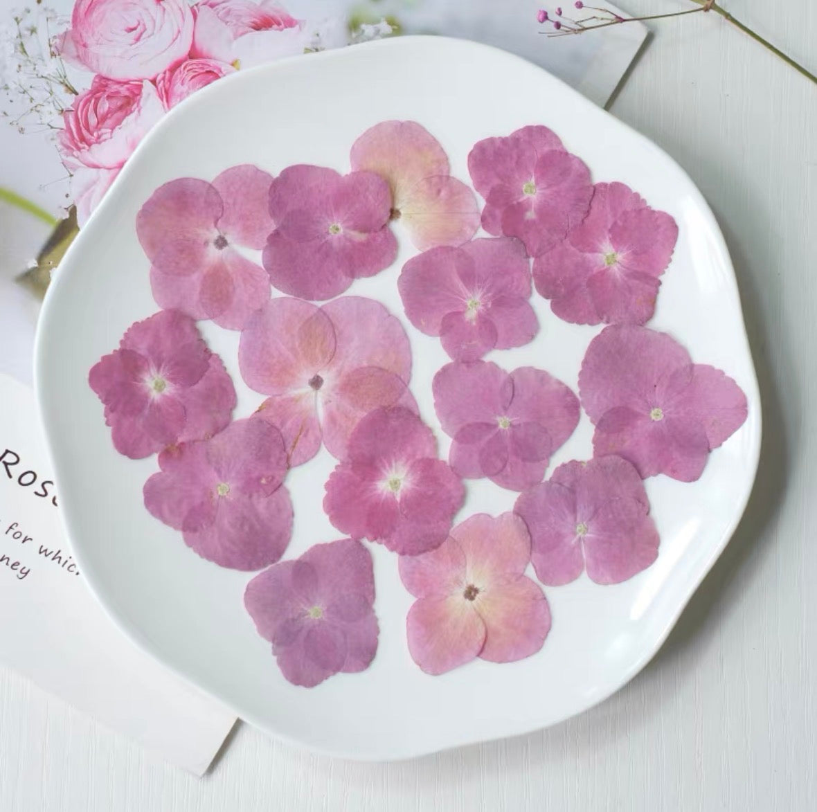 Pressed Hydrangea Flowers for Crafts – Dried Flowers for Resin, Journaling & DIY