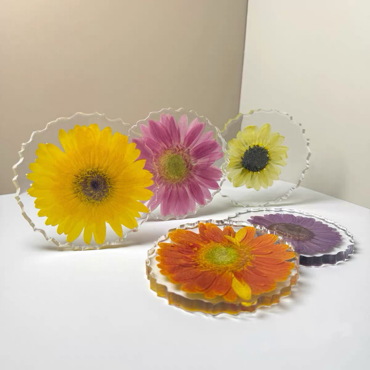 Sunlit Bloom — Gerbera Resin Coaster