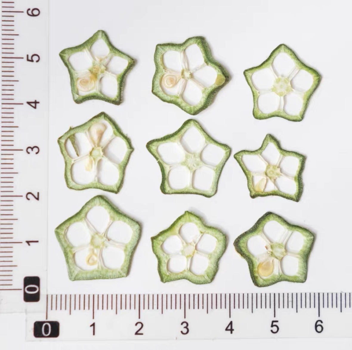 Decorative Dried Fruit Slices for Crafts – Lemon, Orange, Strawberry & More (Not Edible)