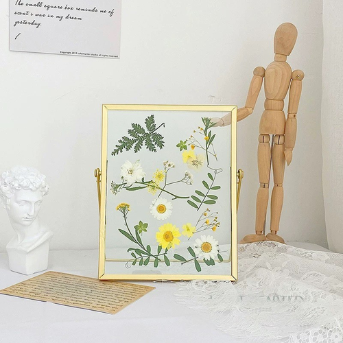 A Garden Framed — Real Pressed Flower Art in Glass Frame
