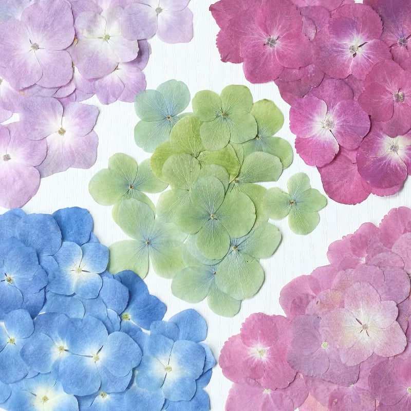 Pressed Hydrangea Flowers for Crafts – Dried Flowers for Resin, Journaling & DIY