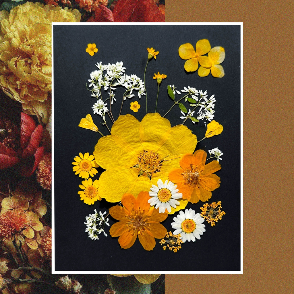 DIY Pressed Flower Set — Paint with Nature