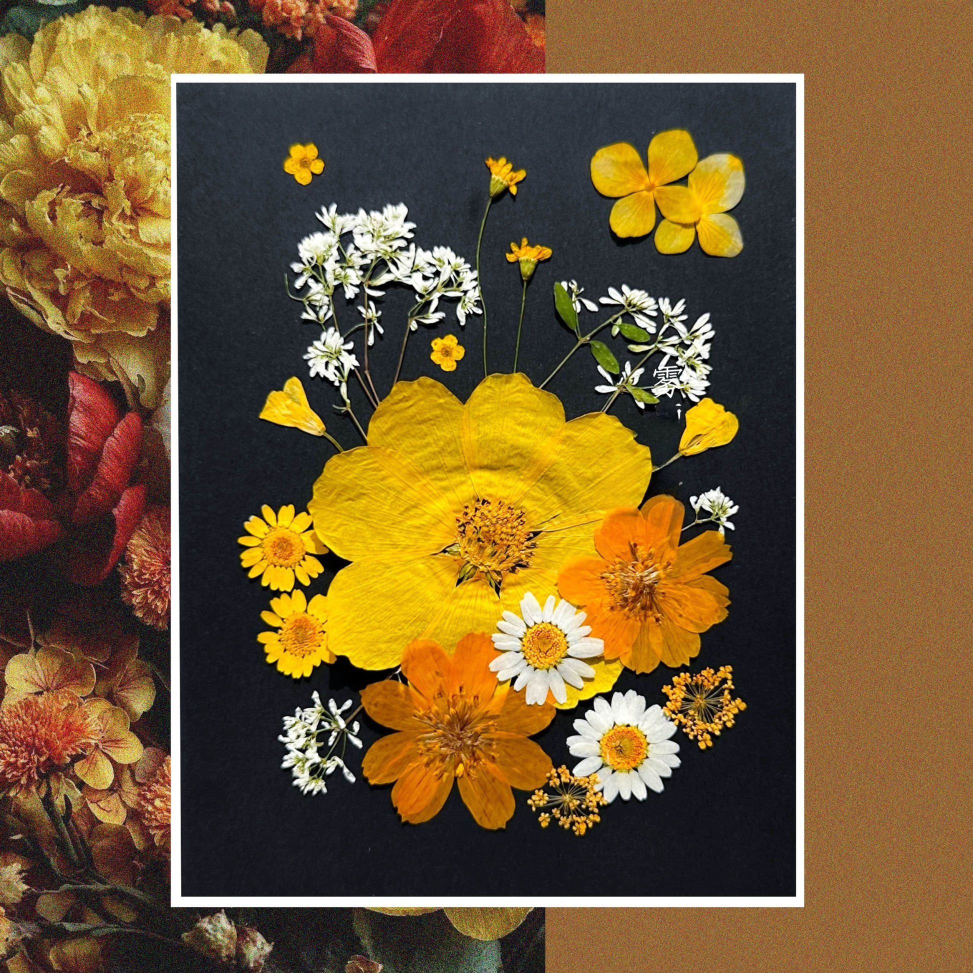 DIY Pressed Flower Set — Paint with Nature