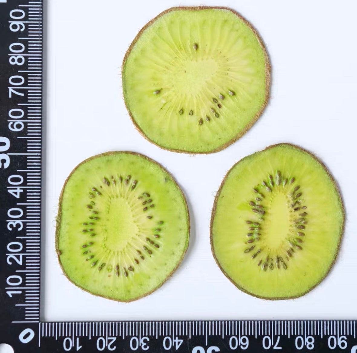 Decorative Dried Fruit Slices for Crafts – Lemon, Orange, Strawberry & More (Not Edible)