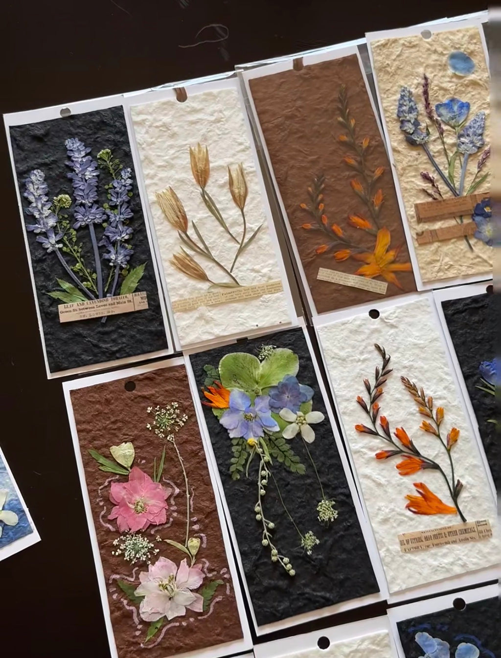 Pressed Lavender Flowers for Crafts – Dried Lavender for Resin & DIY